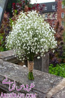 گالری عکس 43 - دسته گل عروس