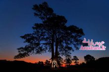 هنر عکاسان عروسی دنیا - پاییز 2014 - هنر ناب