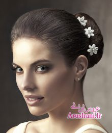 گالری عکس تاج عروس 83