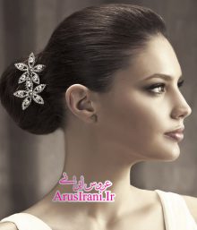 گالری عکس تاج عروس 69