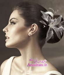 گالری عکس تاج عروس 69