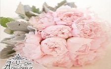 0394 گالری عکس 271 دسته گل عروس