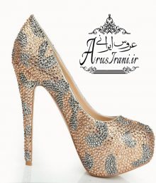 گالری عکس کفش مجلسی 293