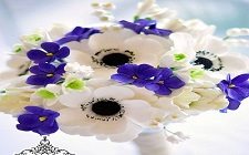 0450 گالری عکس 323 دسته گل عروس