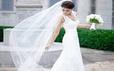 0462 گالری عکس 334 تور عروس