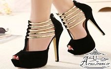 2010 گالری عکس 377 کفش مچلسی