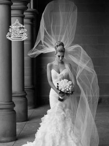 گالری عکس تور عروس 428