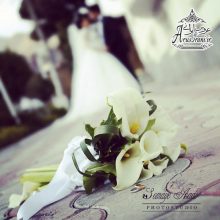 آتلیه عکاسی مینیاتور