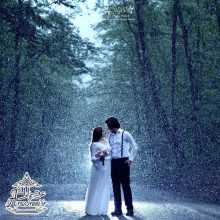 عکاسی جنگل آتلیه عکاسی اسطوره