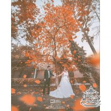 آتلیه عکاسی باراد بابایی