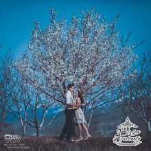 آتلیه عکاسی باراد بابایی