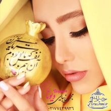آرایشگاه ویونا
