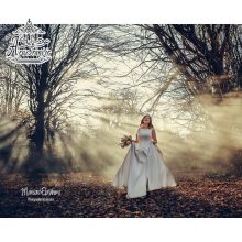 آتلیه عکاسی تارخ