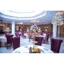 تالار قصر آریو