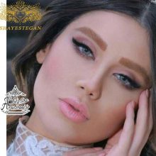 آرایشگاه شایستگان