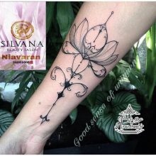 آرایشگاه سیلوانا