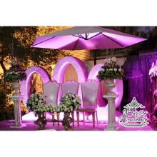 باغ تالار تک درخت