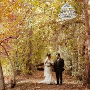 عکاسی پاییز استودیو آتیس