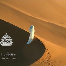 آتلیه برگها