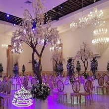 باغ تالار آرشین