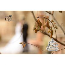 آتلیه فتولیا