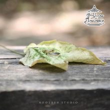 آتلیه روزبه