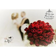 آتلیه فتولیا