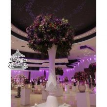باغ تالار سورینو