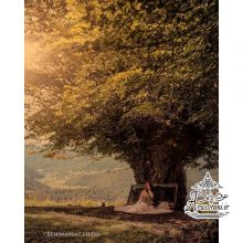 آتلیه چشم انداز