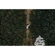 آتلیه پرستیژ