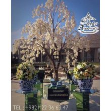 تشریفات امید پایتخت